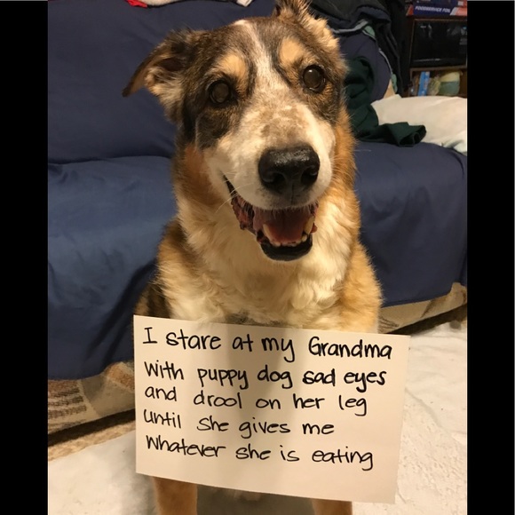 Meet your Posher, Kory - Picture 7 of 16